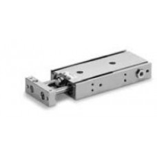 Dual Rod Cylinder with End Lock CXS