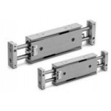 Dual Rod Cylinder Double Rod Series CXSW